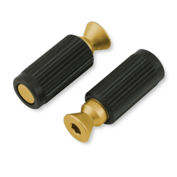 Floyd Rose FRBMMSISGP bridge studs satin gold