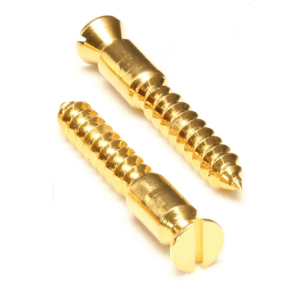 Floyd Rose FRBMWSSG bridge wood screws gold