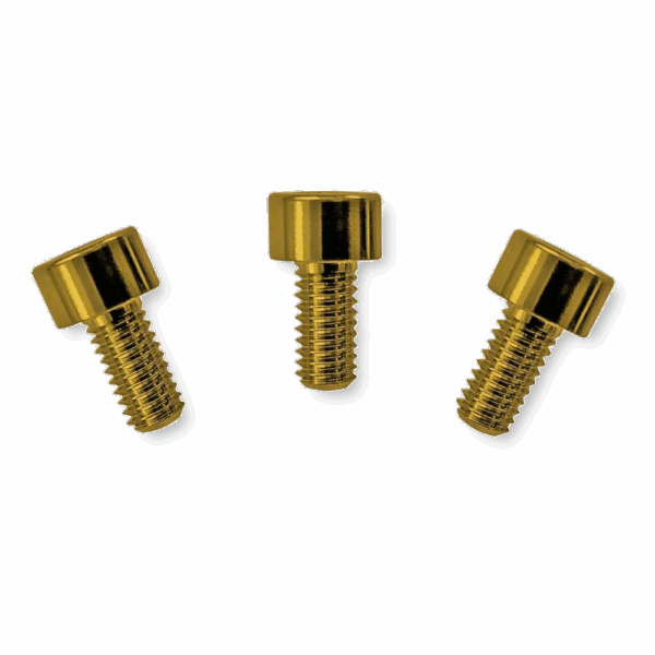 Floyd Rose FRNCSGDP locking nut screws gold