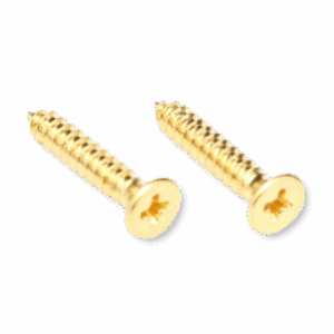 Floyd Rose FRNMSTGP nut top mounting screws gold