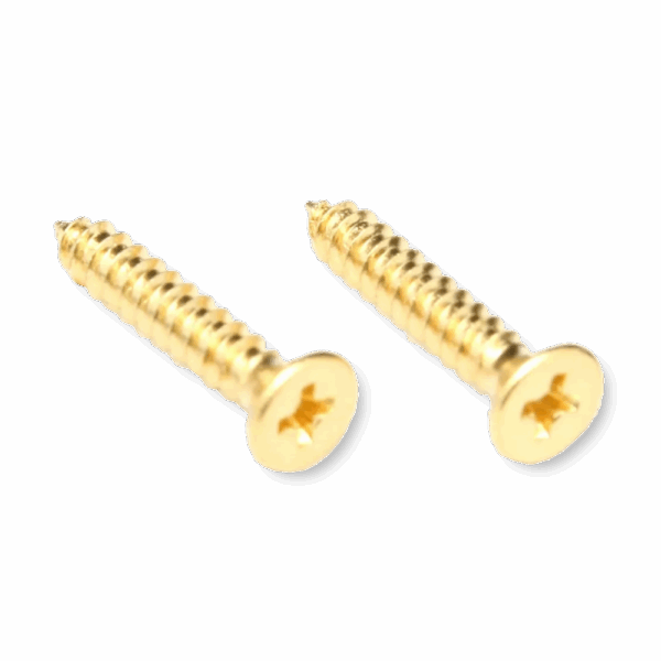 Floyd Rose FRNMSTGP nut top mounting screws gold