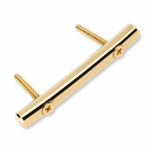 Floyd Rose FRSRGP string retainer gold