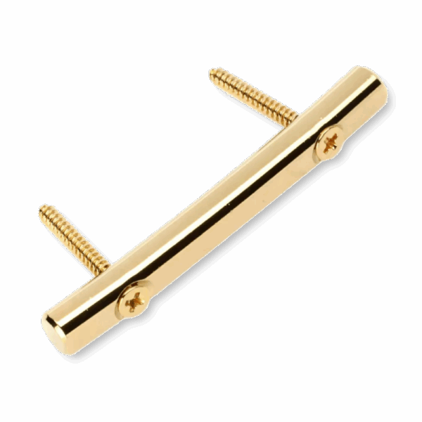 Floyd Rose FRSRGP string retainer gold