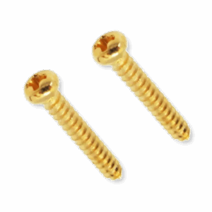 Floyd Rose FRSRSGP string retainer screws gold