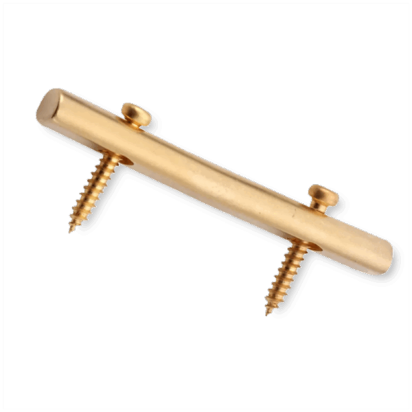 Floyd Rose FRSRSGP string retainer satin gold