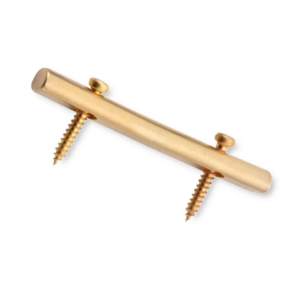 Floyd Rose FR1SRSG string retainer satin gold