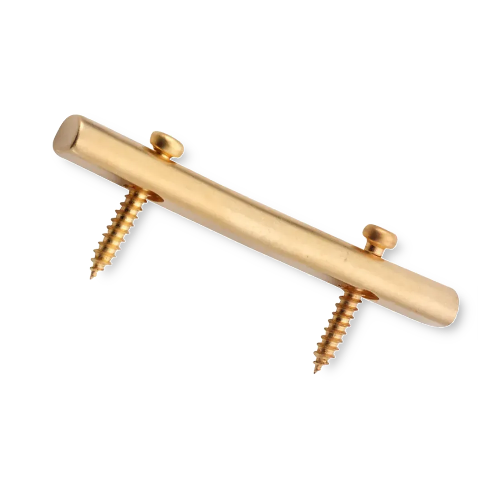 Floyd Rose FR1SRSG string retainer satin gold