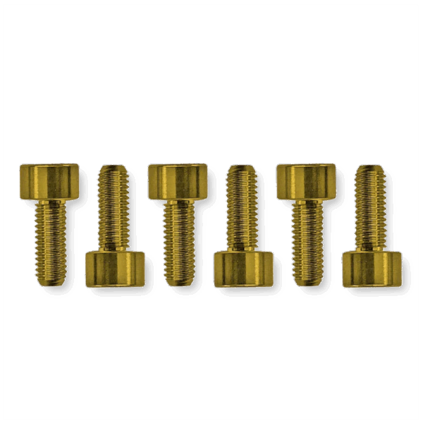 Floyd Rose FROSMSGDP saddle screws gold
