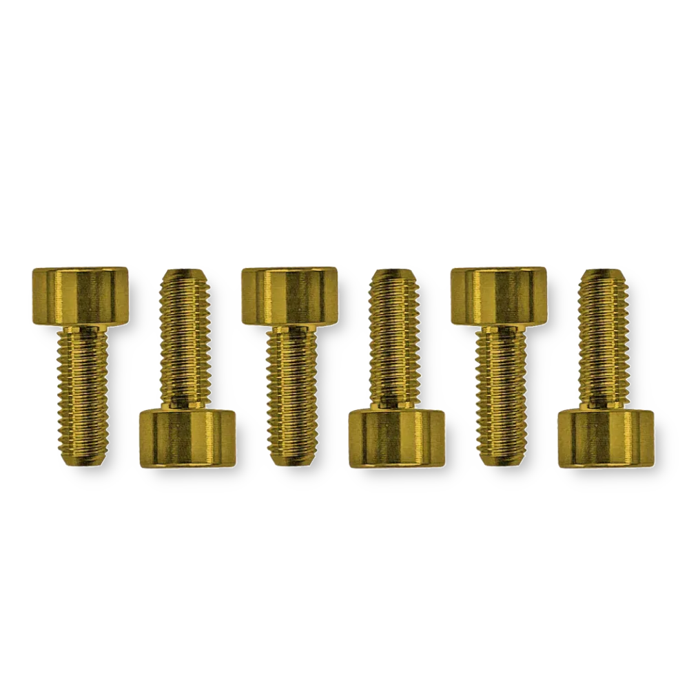Floyd Rose FROSMSGDP saddle screws gold