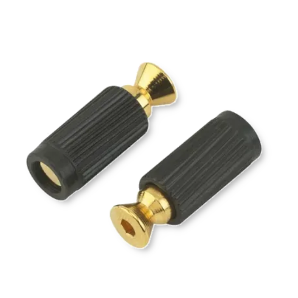 Floyd Rose FRBMMSIGP bridge mounting studs gold