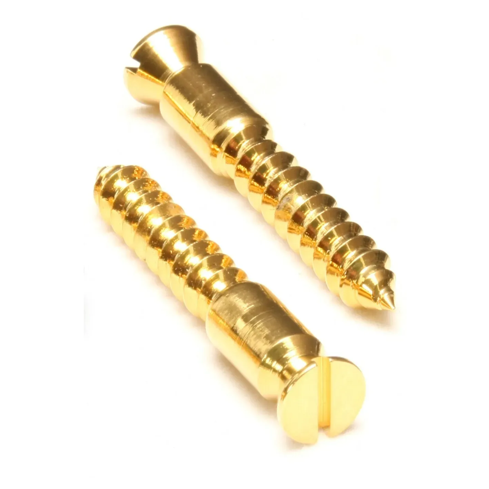 Floyd Rose FRBMWSSG bridge wood screws gold