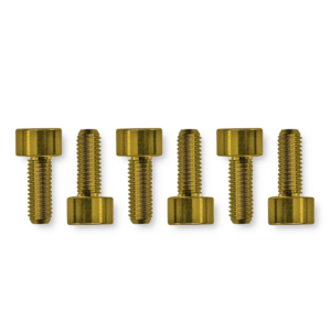 Floyd Rose FROSMSGDP saddle screws gold