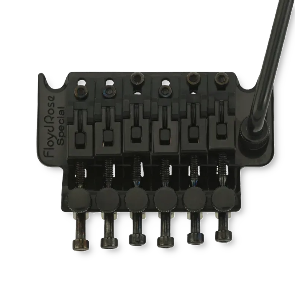 Floyd Rose FRTS-2000B Special tremolo set, black