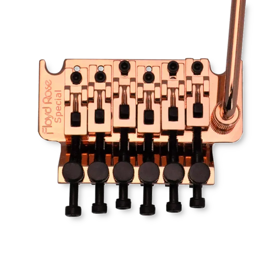Floyd Rose FRTS-3100RG Special tremolo set, rose gold